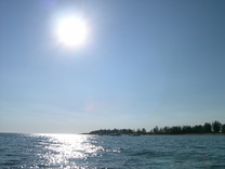 Picture